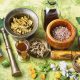 formation de naturopathe à Lyon